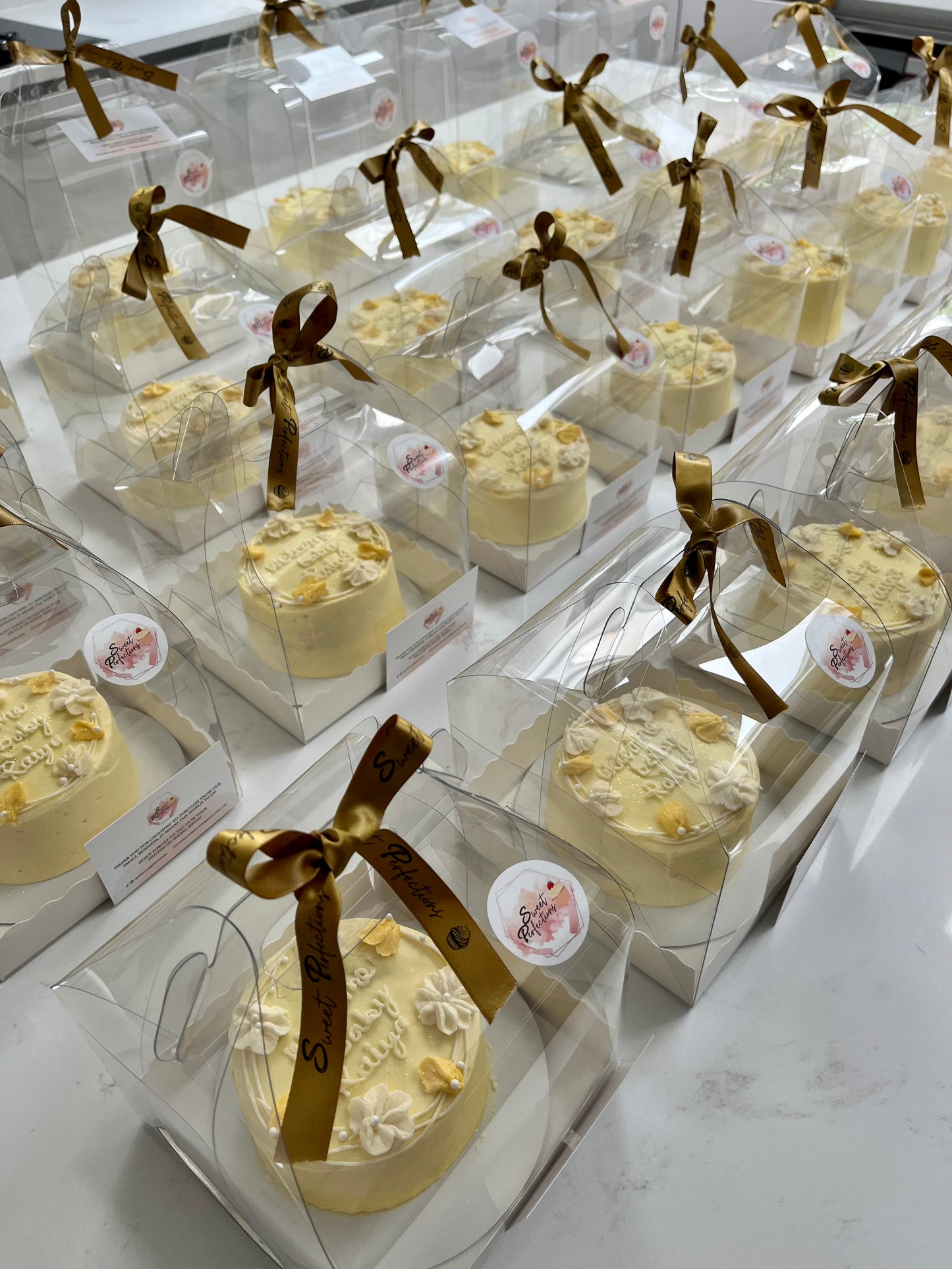 Baby Bento Cake Favours