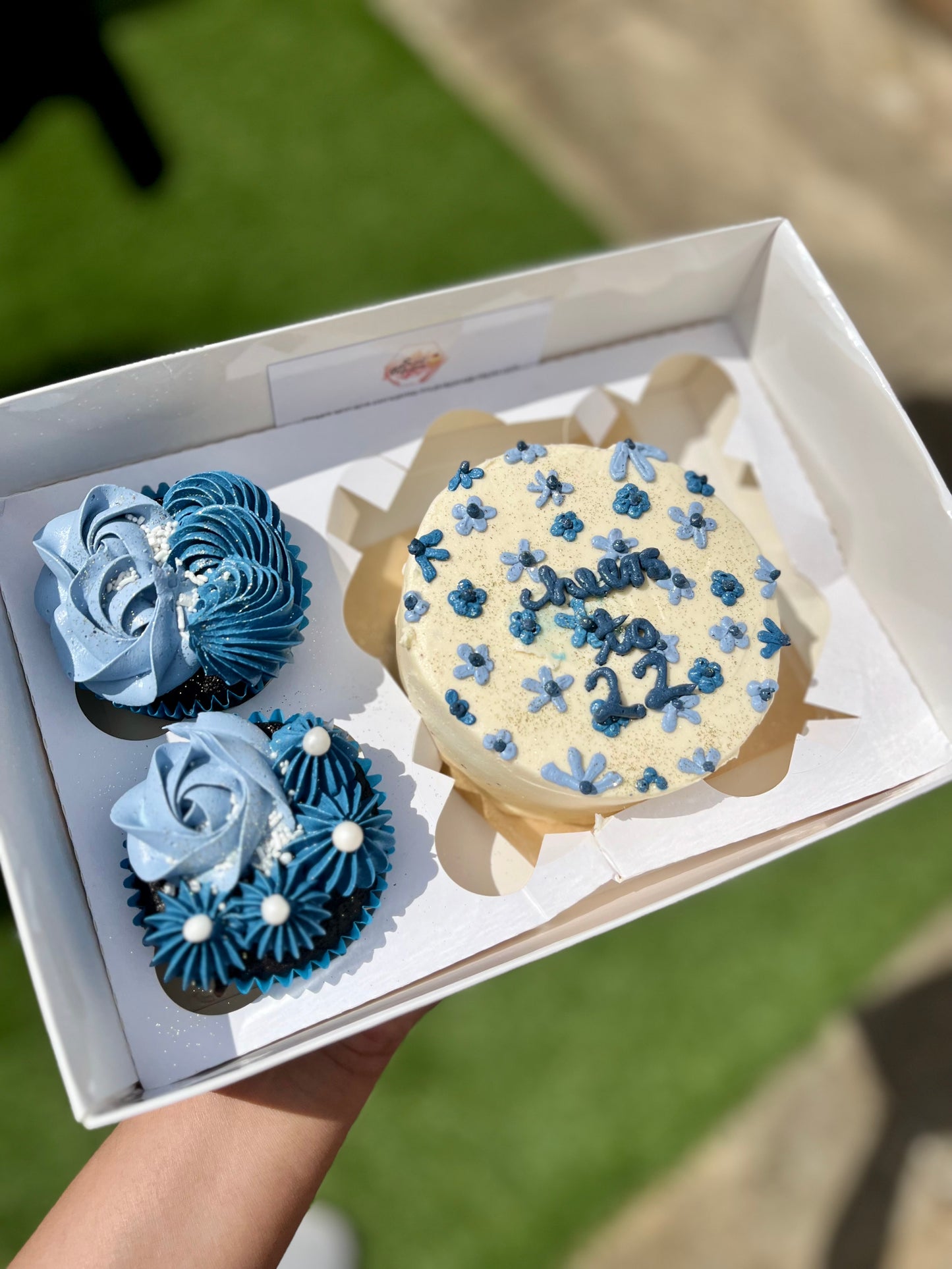 Birthday Bento Cake & Cupcake Set