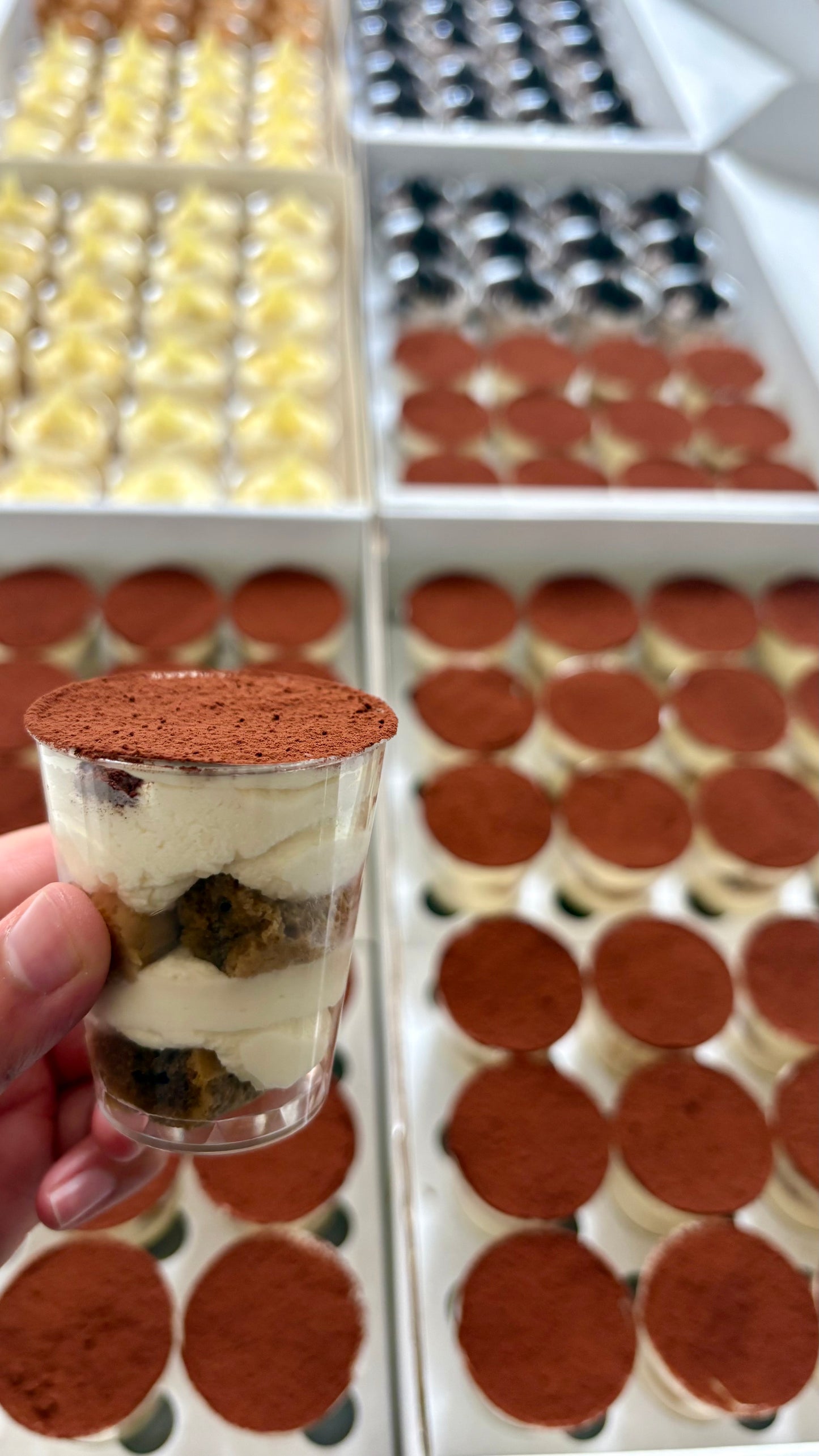 *NEW* Tiramisu Cups
