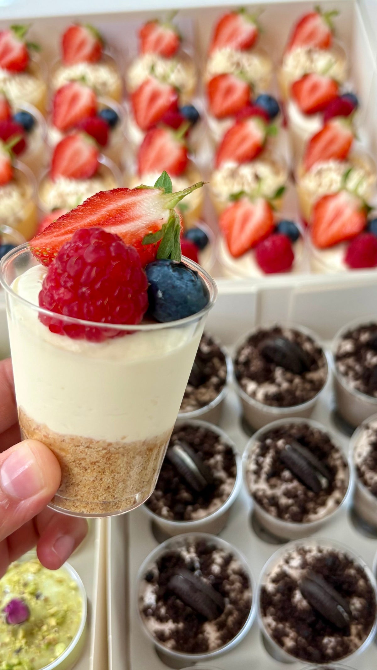 Mixed Berry Cheesecake