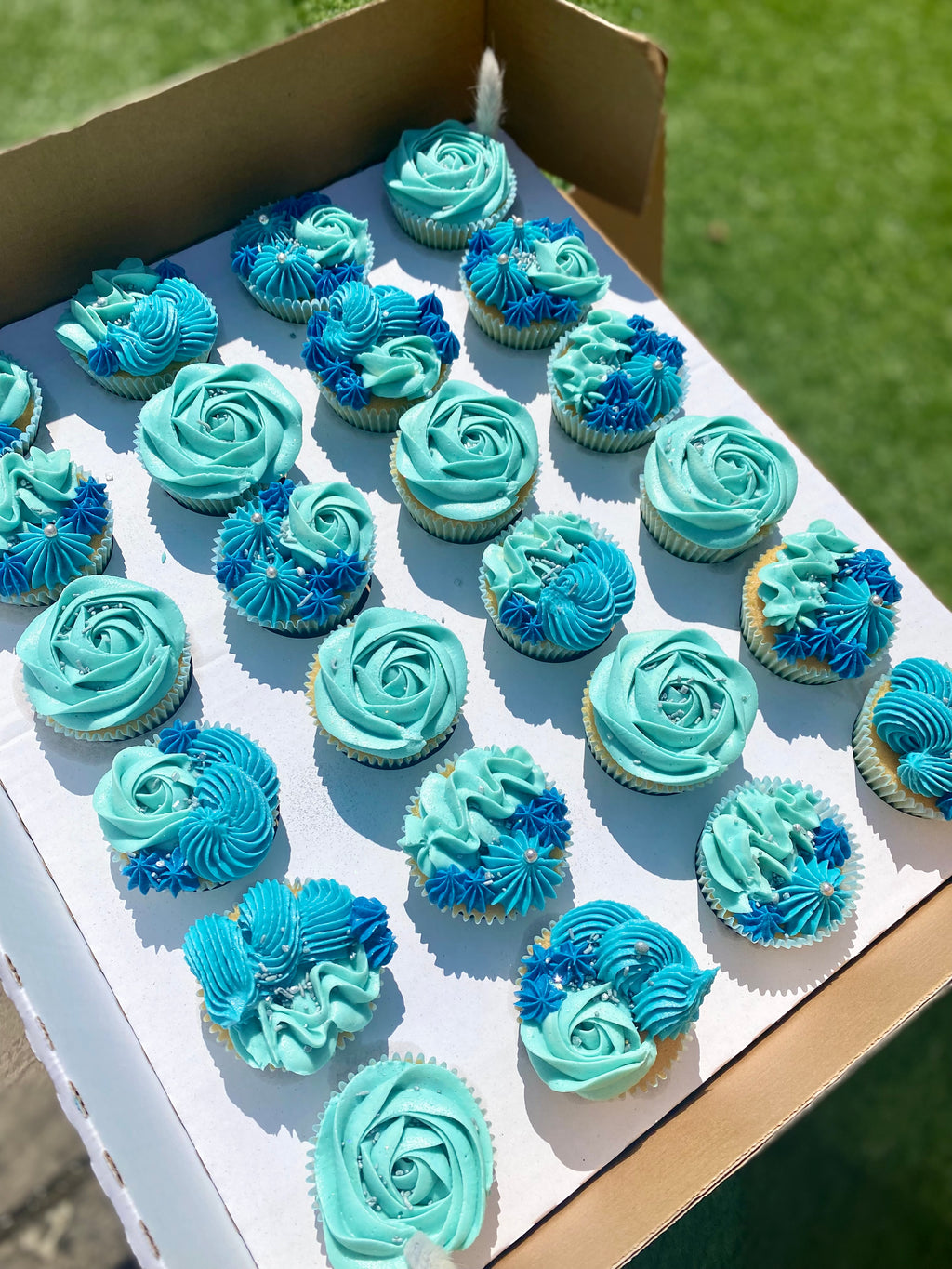 24 Cupcake Box