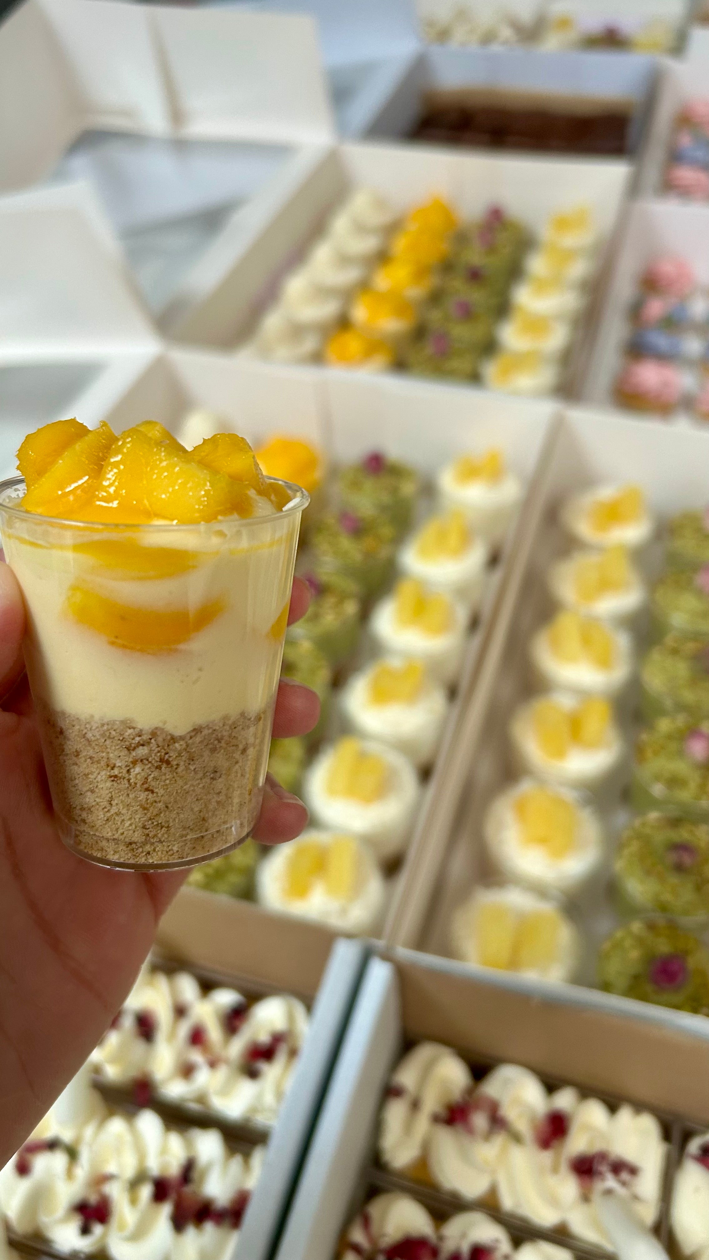 Mango Cheesecake