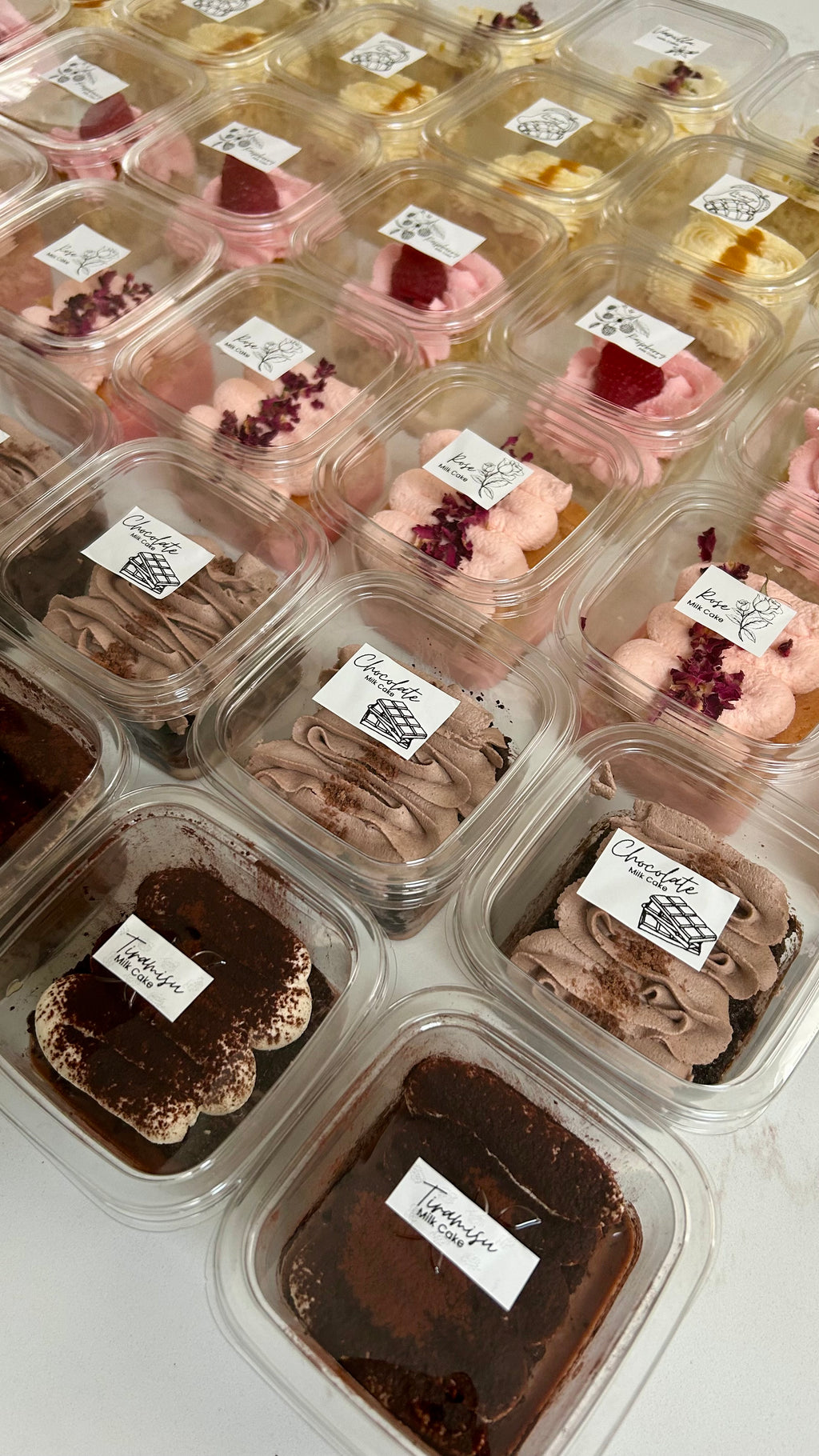 Milk Cake Slices
