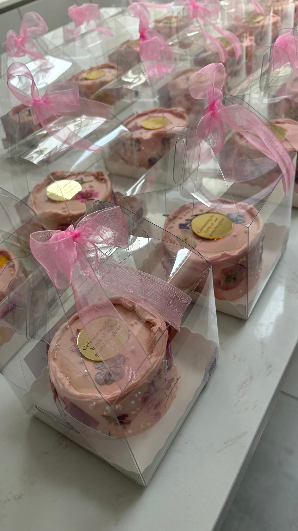 Baby Bento Cakes