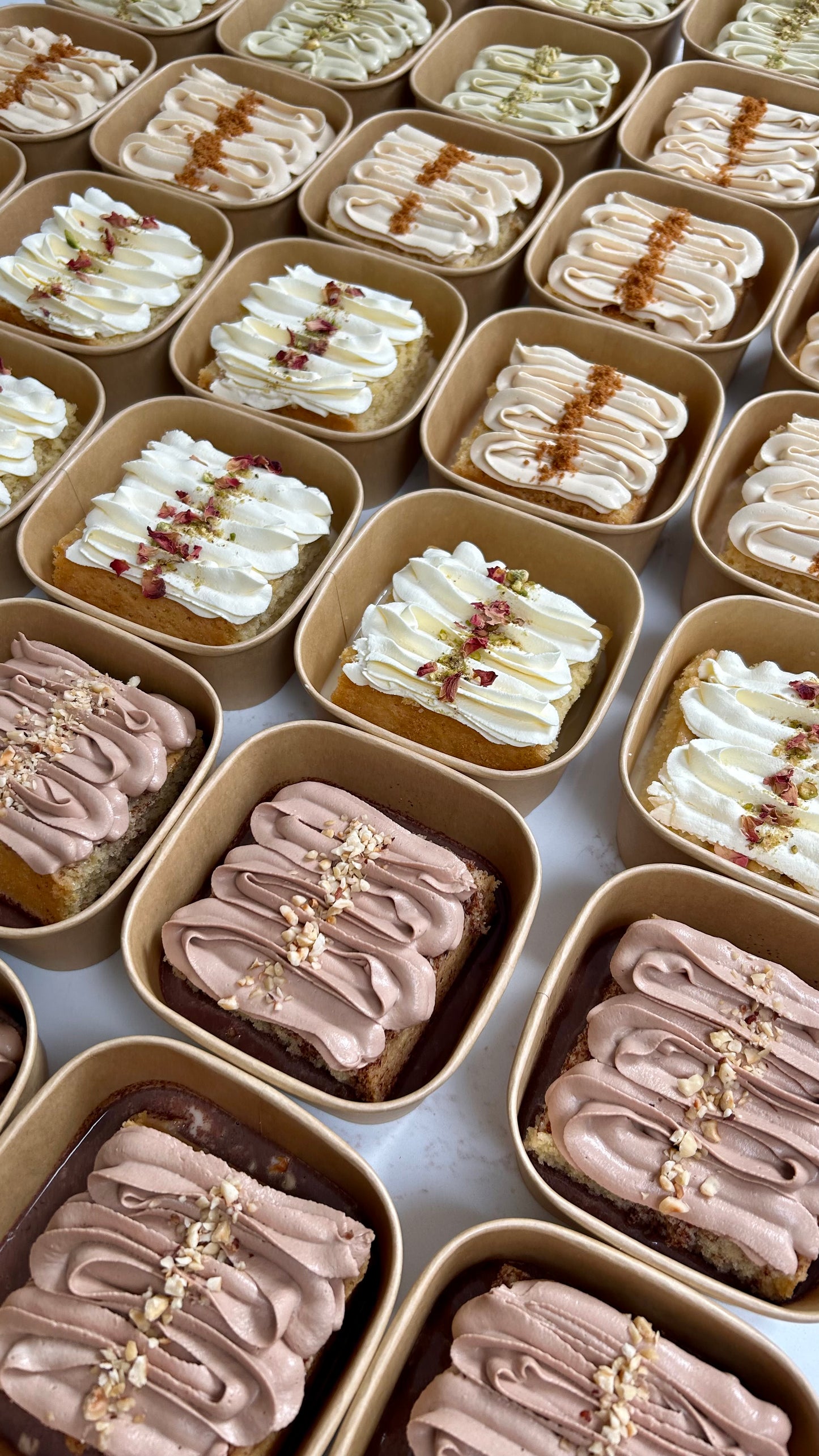 Milk Cake Slices & Trays