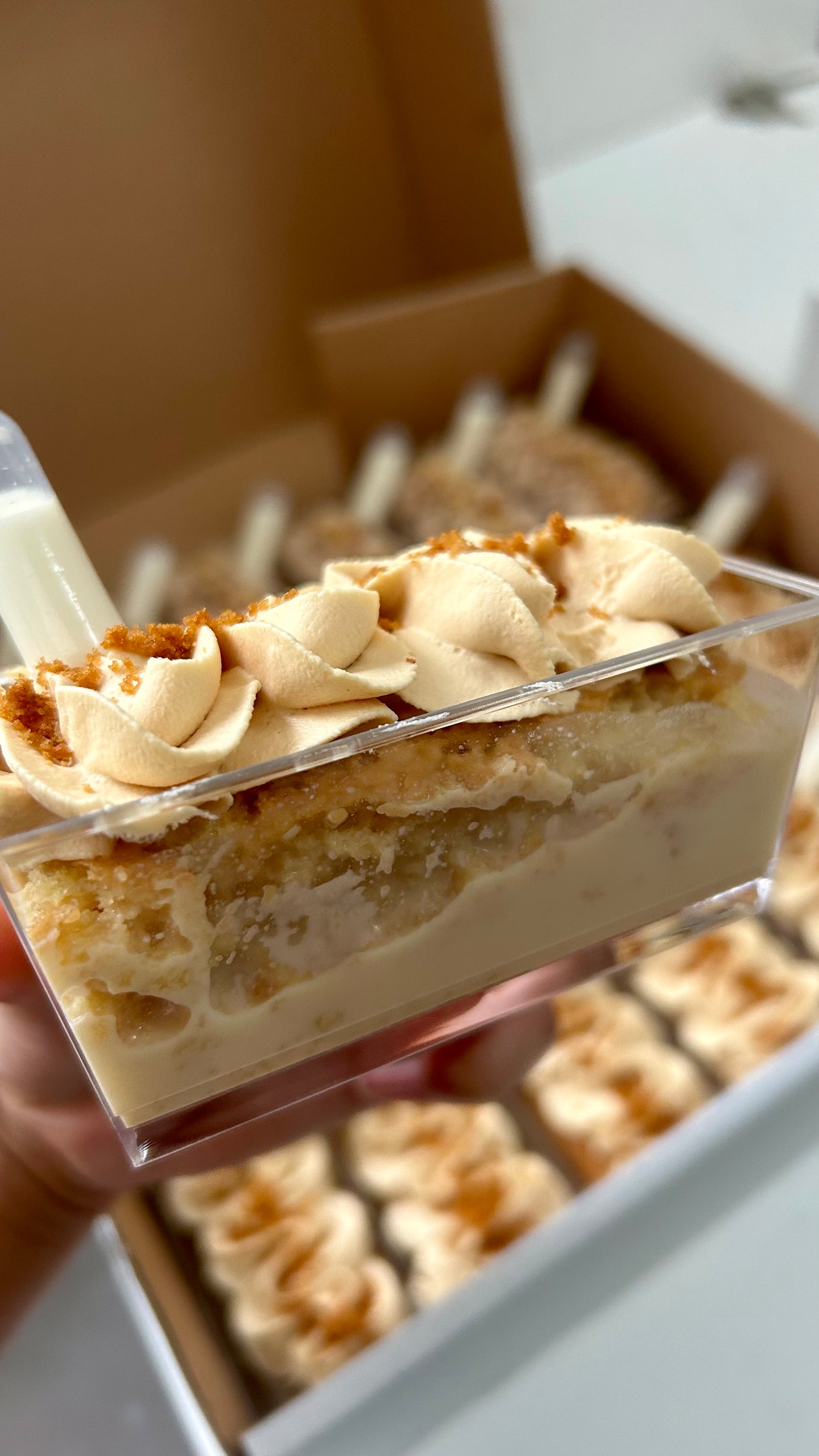 Milk Cake Rectangle Cups