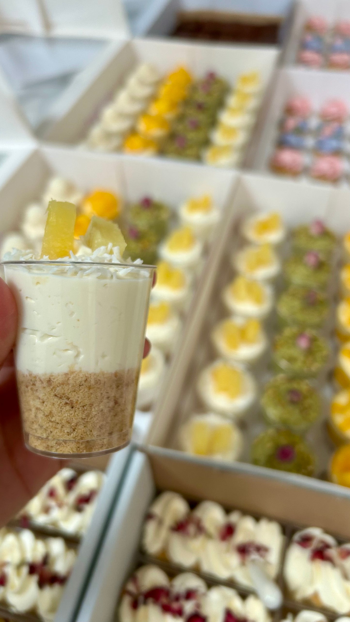 Pina Colada Cheesecake