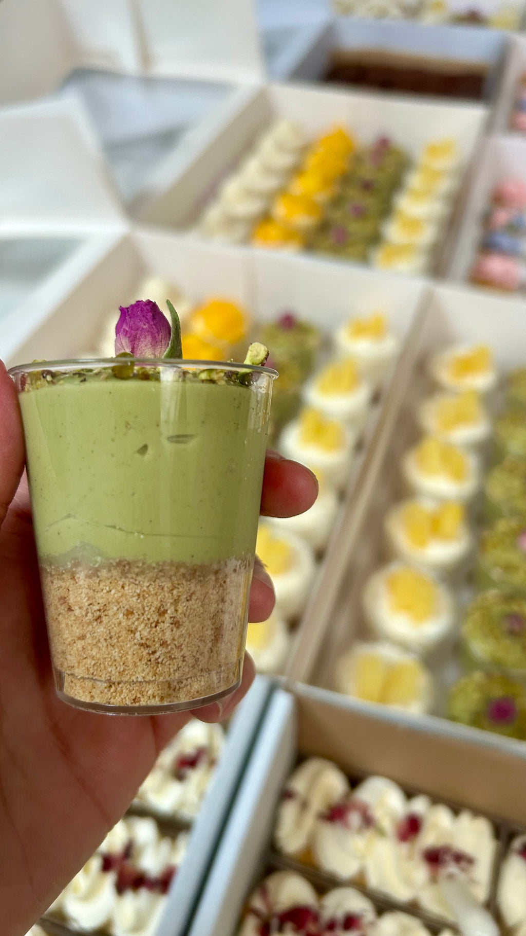 Pistachio & White Choc Cheesecake