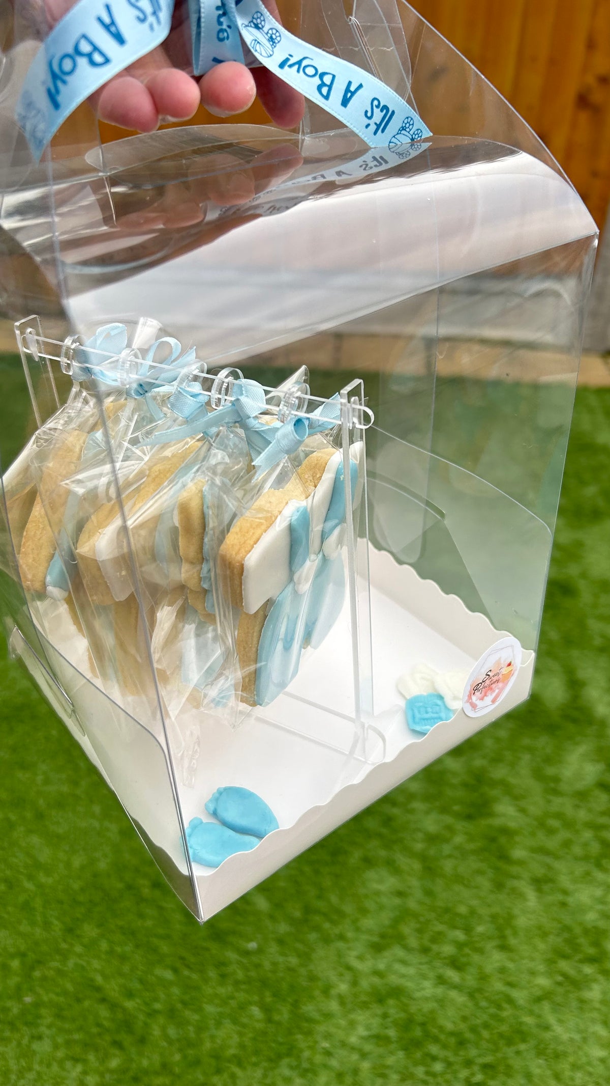 Baby Biscuit Rails