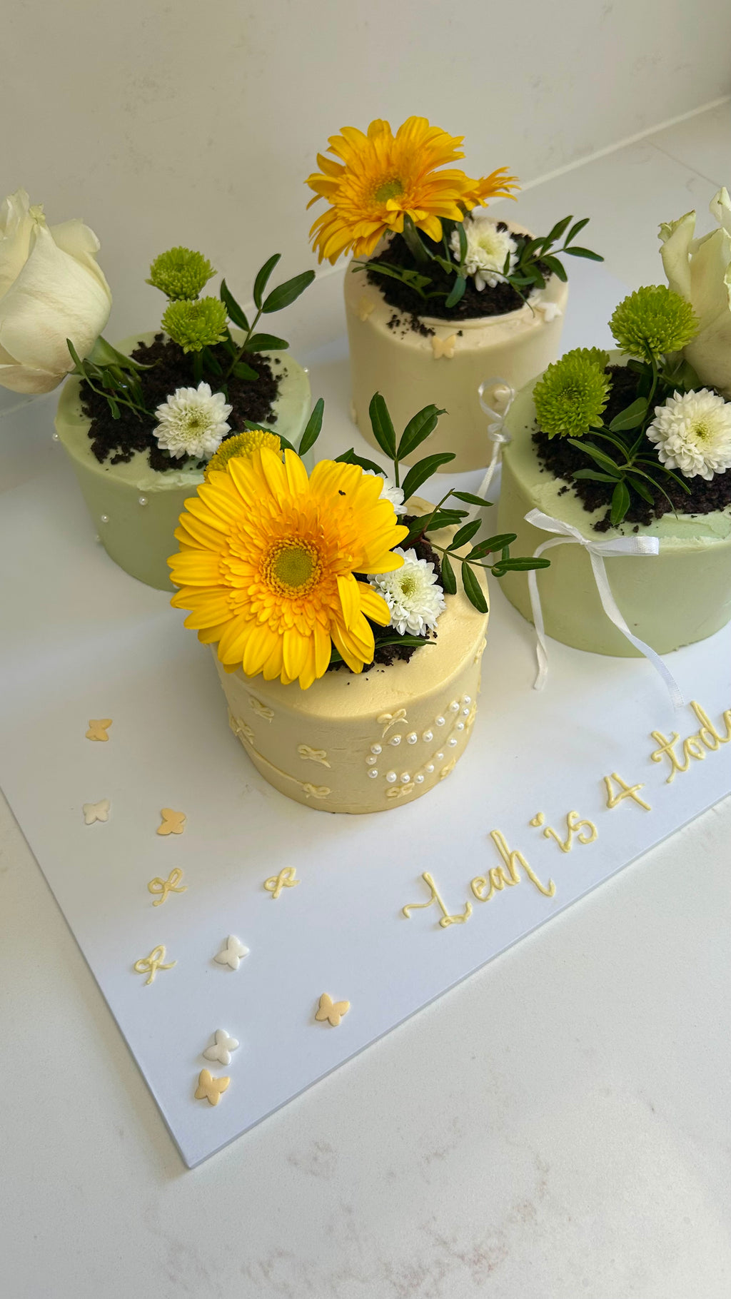 Bento Cake