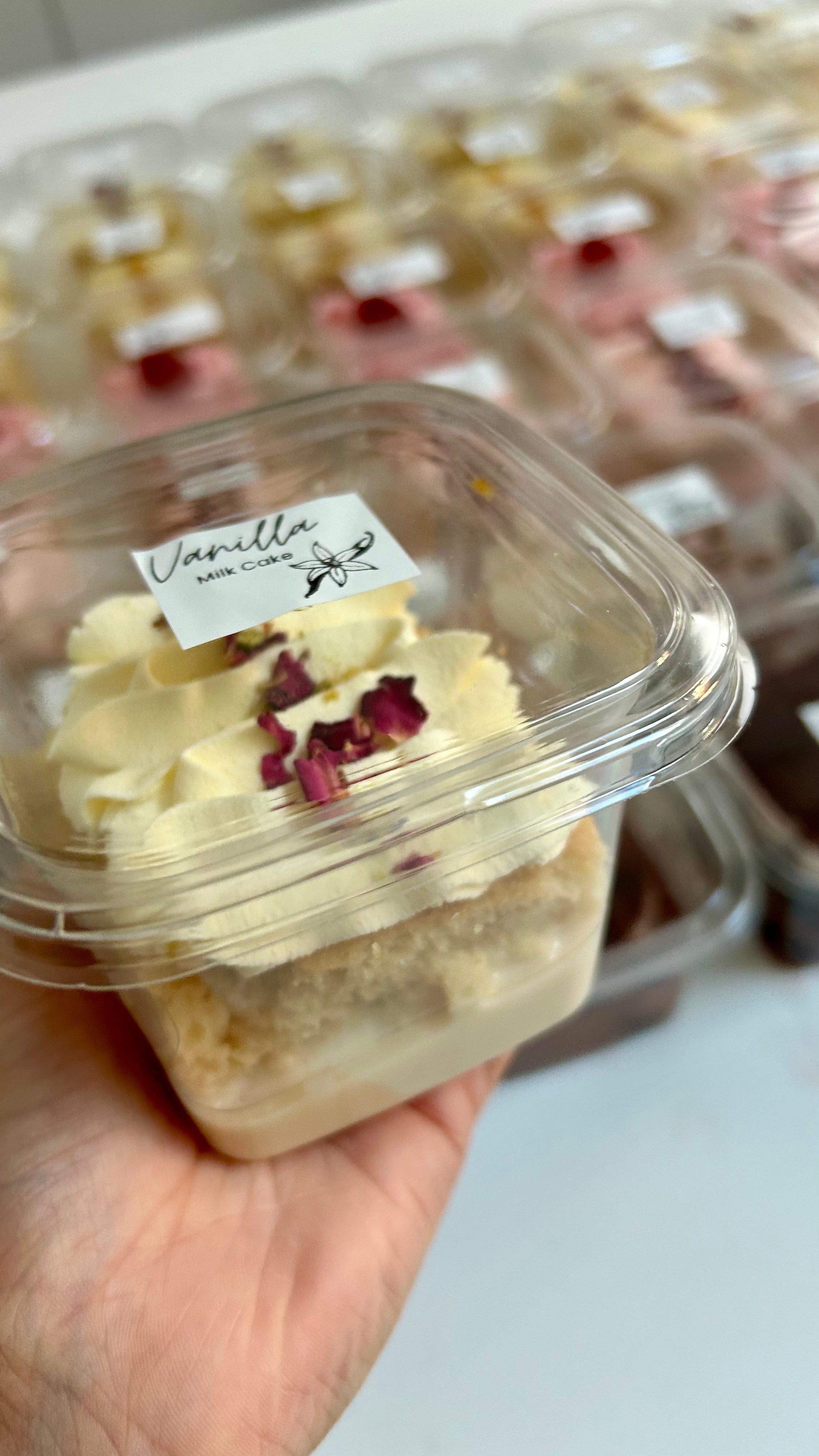 Milk Cake Slices