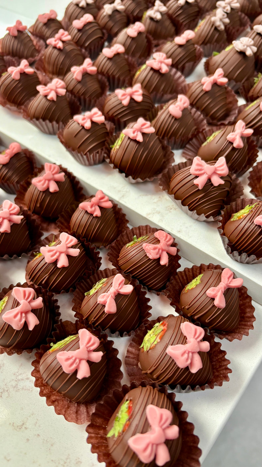 Chocolate Strawberry Duo