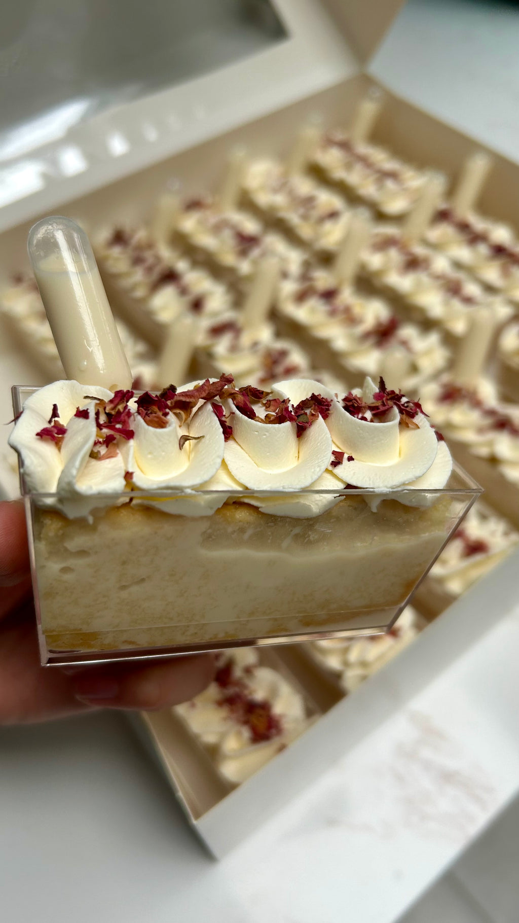 Milk Cake Rectangle Cups